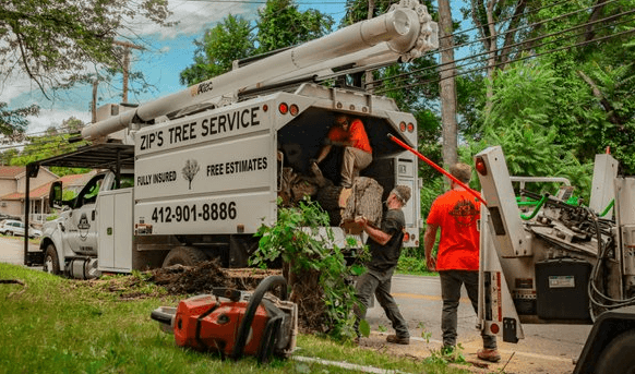 eric's tree service